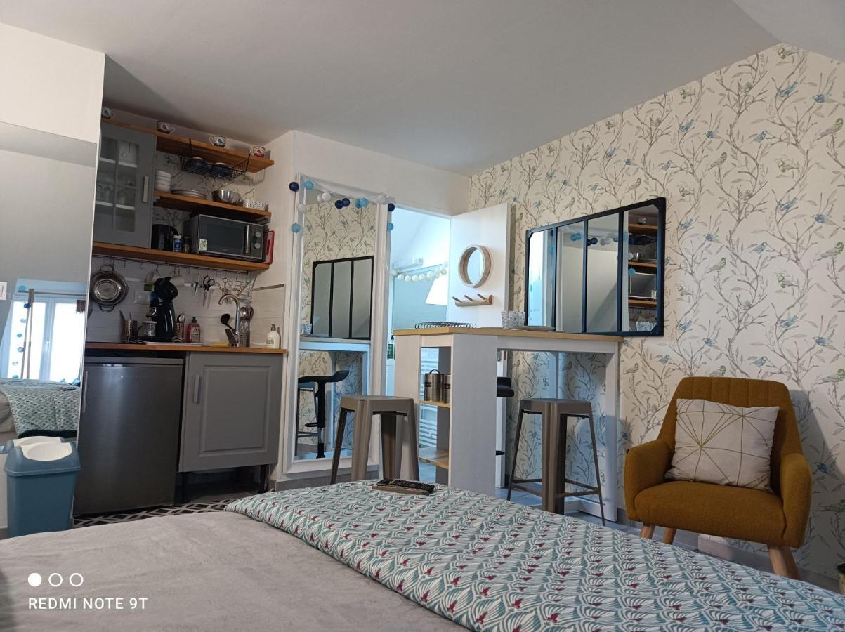 Tres Beau Studio Climatisation, Trois Etoiles, Parking A Velo, Velos En Option, Parking Prive Jardin Montargis Exteriér fotografie
